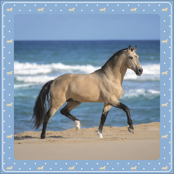 Weitere Ansicht: Pferdekalender 2027