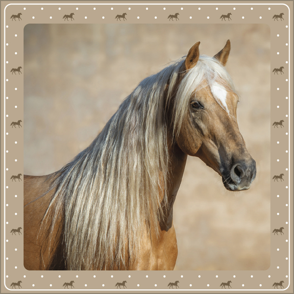 Weitere Ansicht: Pferdekalender 2027