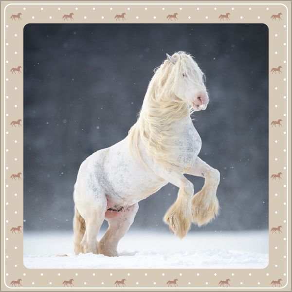 Weitere Ansicht: Pferdekalender 2027