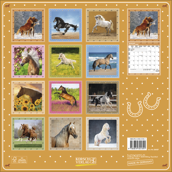 Weitere Ansicht: Pferdekalender 2027