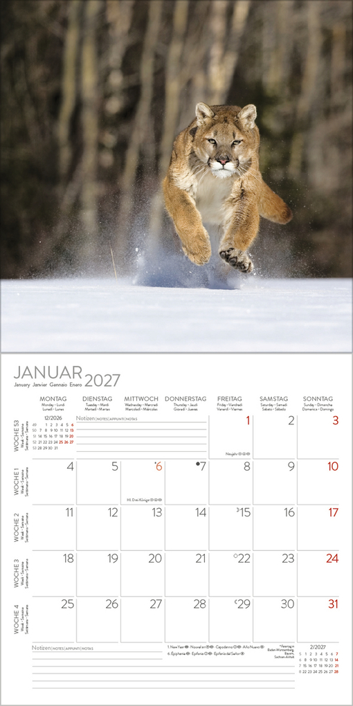 Weitere Ansicht: Big Cats 2027