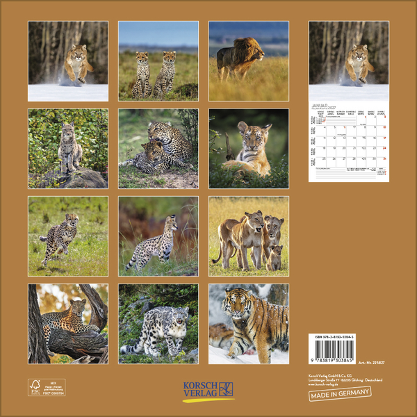 Weitere Ansicht: Big Cats 2027