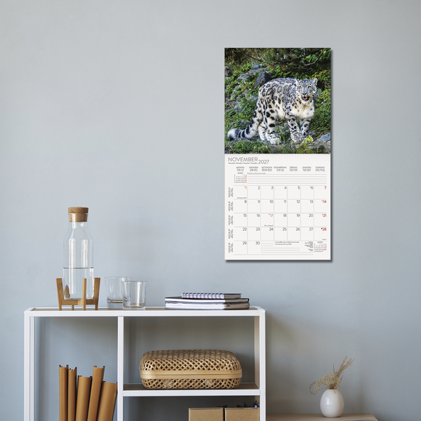 Weitere Ansicht: Big Cats 2027