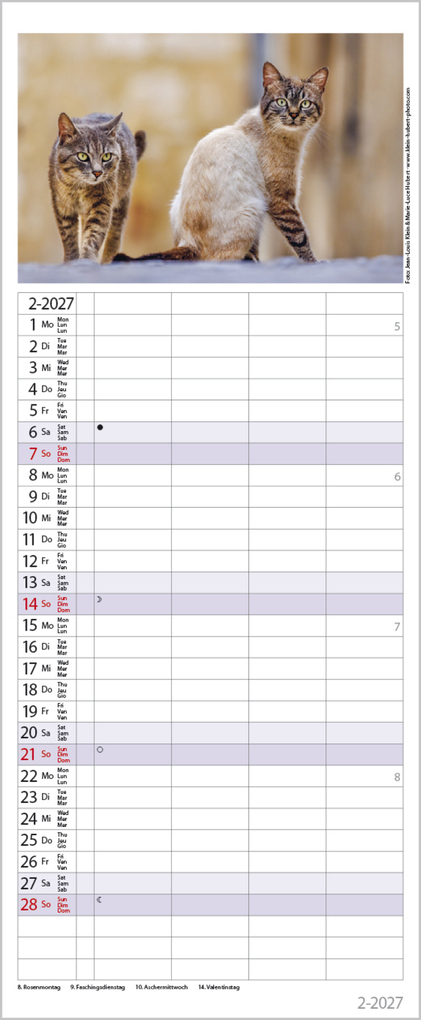 Weitere Ansicht: Auf Samtpfoten durch's Jahr 2027