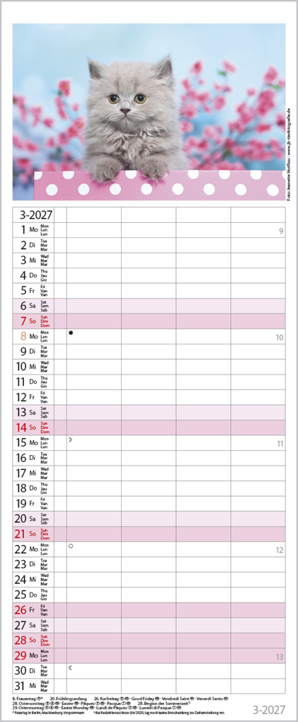 Weitere Ansicht: Auf Samtpfoten durch's Jahr 2027