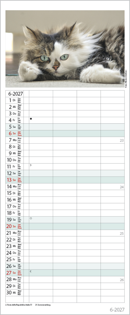 Weitere Ansicht: Auf Samtpfoten durch's Jahr 2027