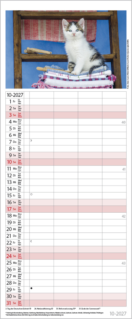 Weitere Ansicht: Auf Samtpfoten durch's Jahr 2027