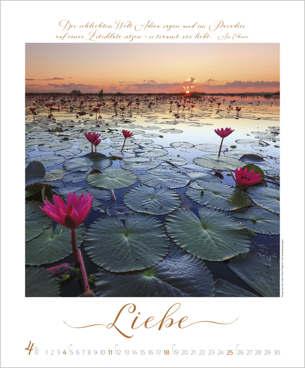 Weitere Ansicht: Buddhistische Weisheiten 2027