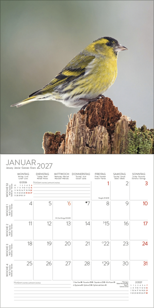 Weitere Ansicht: Vögel 2027