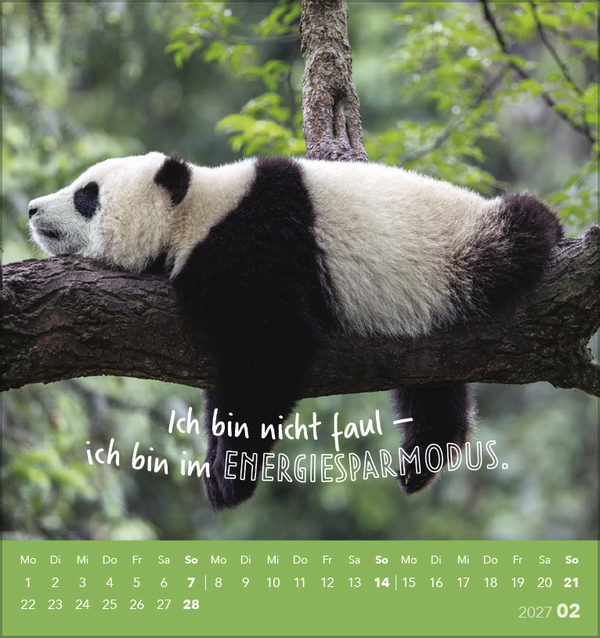 Weitere Ansicht: Tierisch lustig 2027