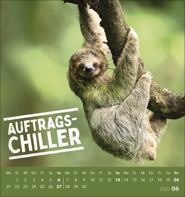 Weitere Ansicht: Tierisch lustig 2027