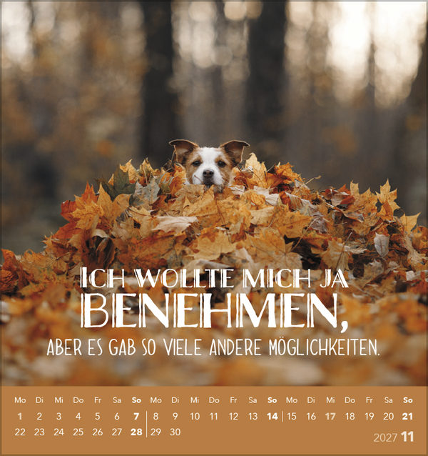 Weitere Ansicht: Tierisch lustig 2027