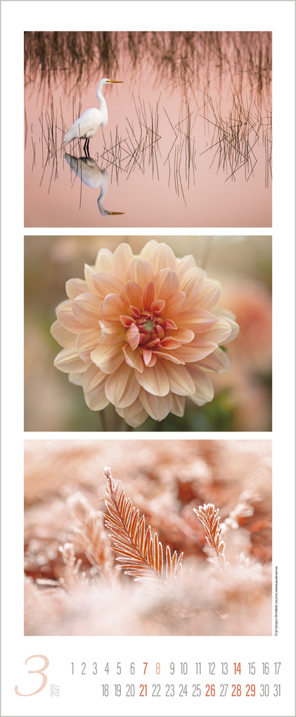 Weitere Ansicht: Colour Triplets 2027