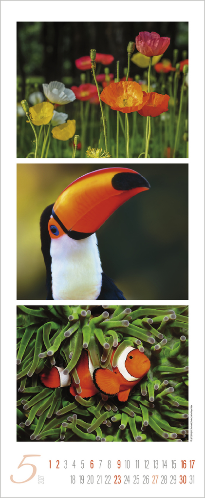 Weitere Ansicht: Colour Triplets 2027