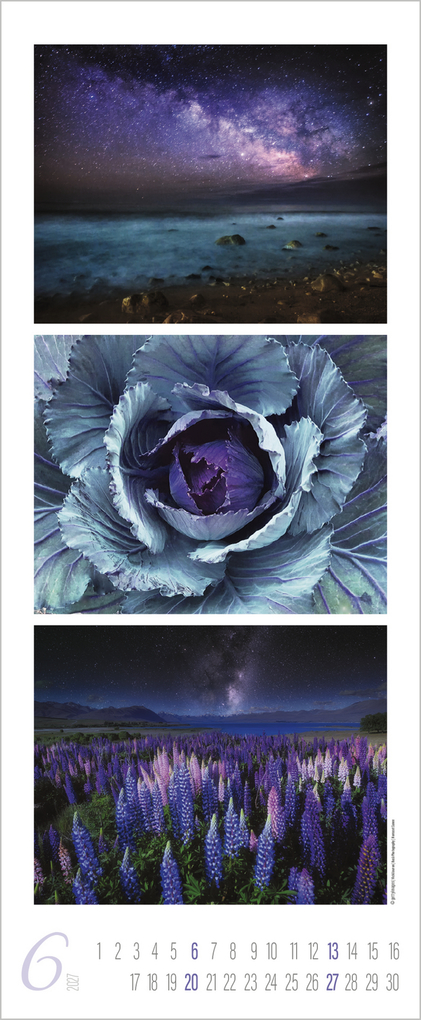 Weitere Ansicht: Colour Triplets 2027