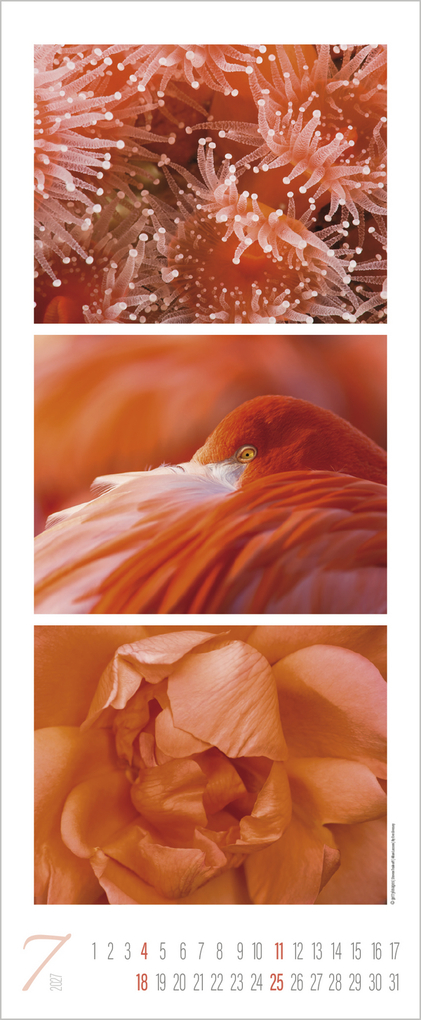 Weitere Ansicht: Colour Triplets 2027