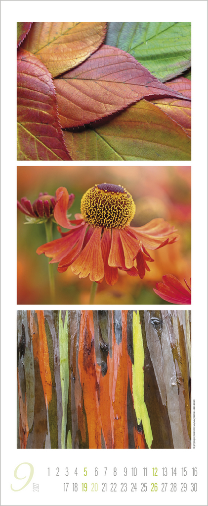 Weitere Ansicht: Colour Triplets 2027