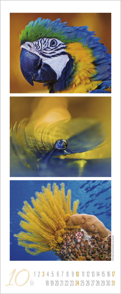 Weitere Ansicht: Colour Triplets 2027