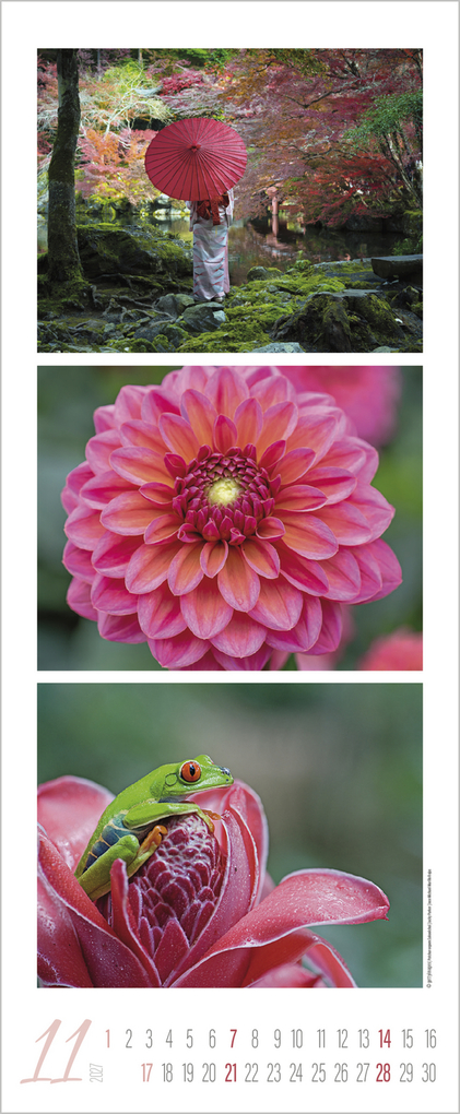 Weitere Ansicht: Colour Triplets 2027