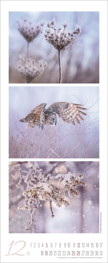 Weitere Ansicht: Colour Triplets 2027