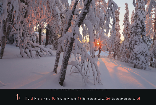 Weitere Ansicht: Magische Wälder 2027