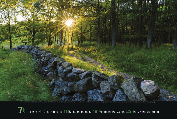 Weitere Ansicht: Magische Wälder 2027