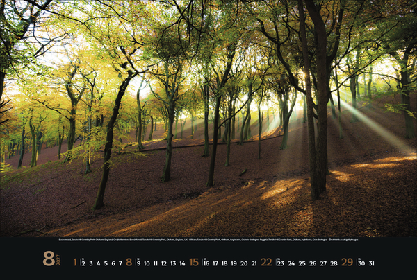 Weitere Ansicht: Magische Wälder 2027