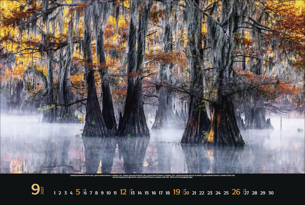 Weitere Ansicht: Magische Wälder 2027