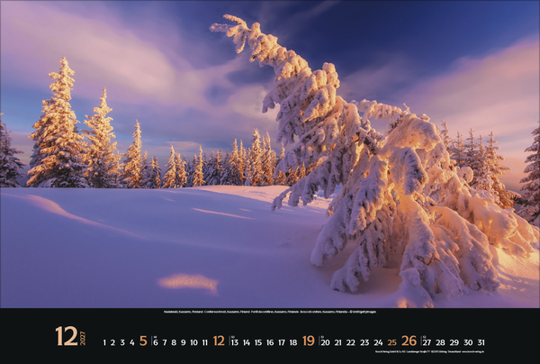 Weitere Ansicht: Magische Wälder 2027