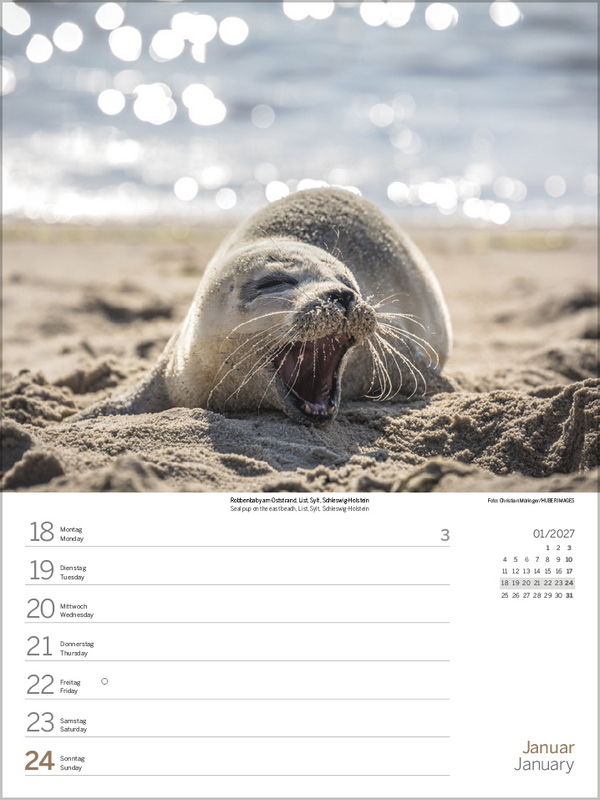 Weitere Ansicht: Nord- und Ostsee Wochenkalender 2027