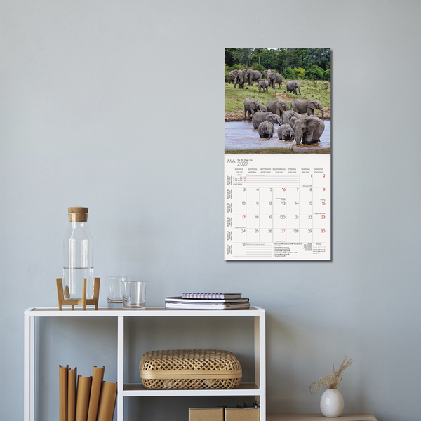 Weitere Ansicht: Elefanten 2027