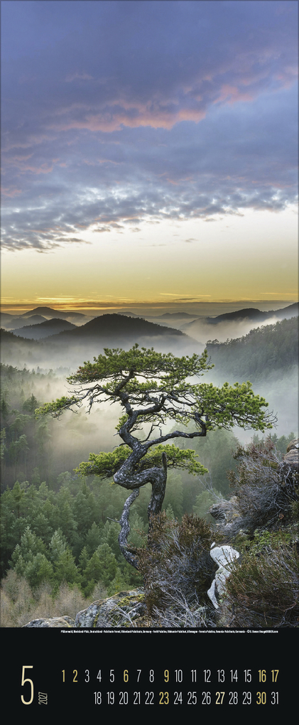 Weitere Ansicht: Spirit of Earth 2027