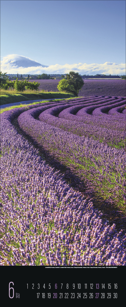 Weitere Ansicht: Spirit of Earth 2027