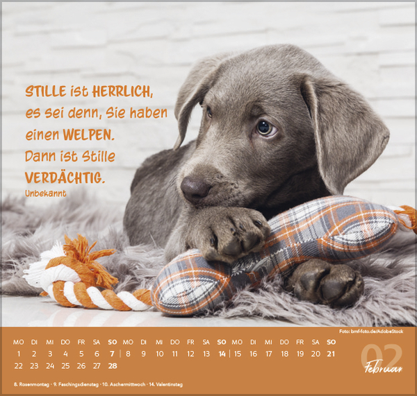 Weitere Ansicht: Für Hundeliebhaber 2027