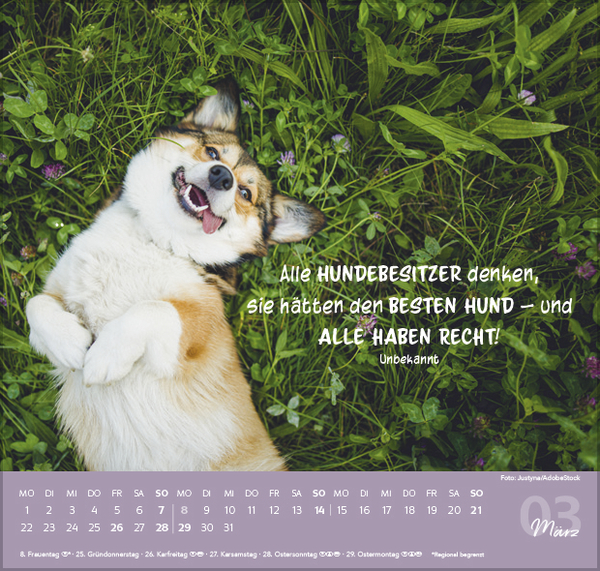 Weitere Ansicht: Für Hundeliebhaber 2027