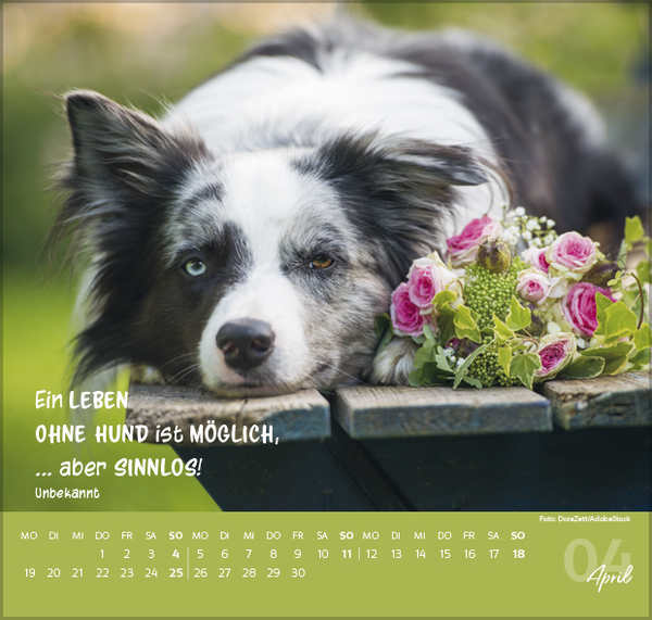 Weitere Ansicht: Für Hundeliebhaber 2027