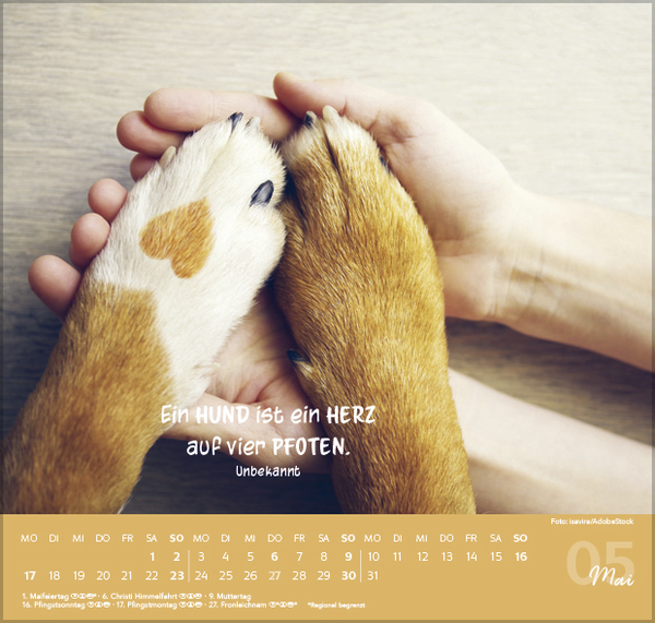 Weitere Ansicht: Für Hundeliebhaber 2027