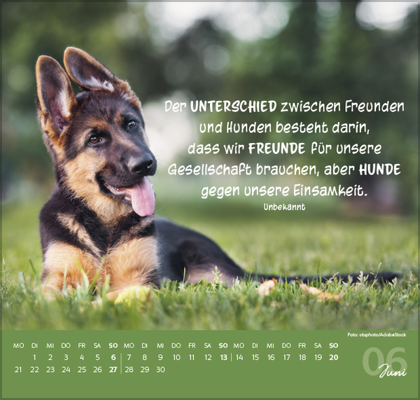 Weitere Ansicht: Für Hundeliebhaber 2027