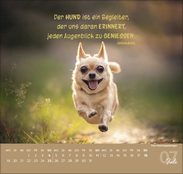 Weitere Ansicht: Für Hundeliebhaber 2027