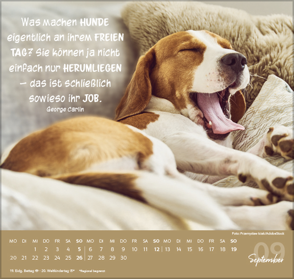 Weitere Ansicht: Für Hundeliebhaber 2027