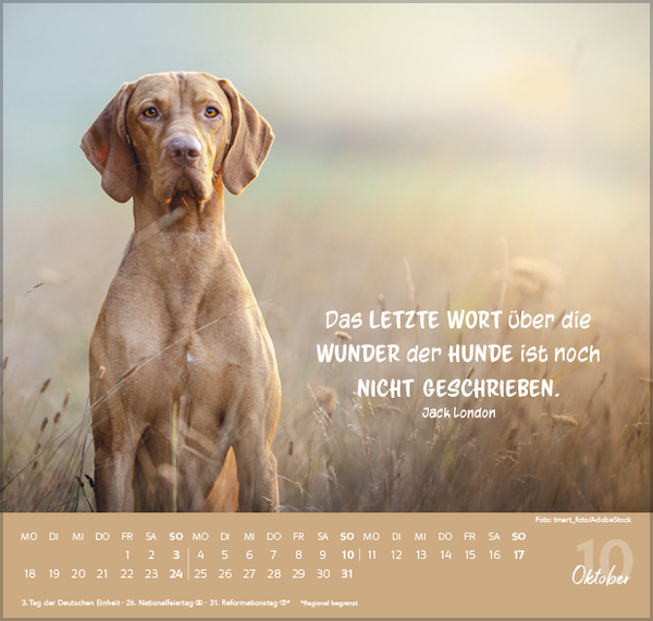 Weitere Ansicht: Für Hundeliebhaber 2027