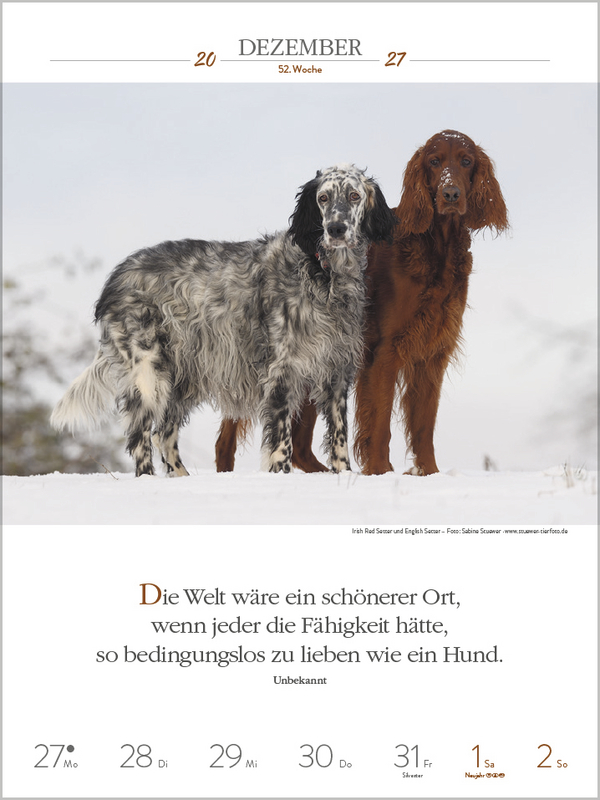 Weitere Ansicht: Literaturkalender Hunde 2027