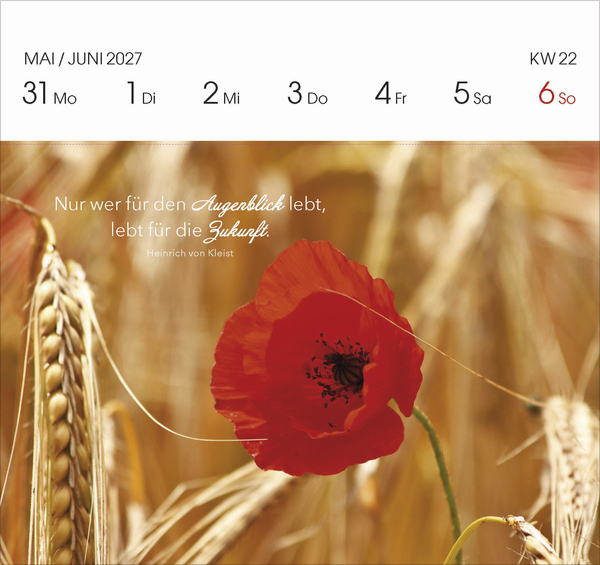 Weitere Ansicht: Genieße jeden Augenblick 2027