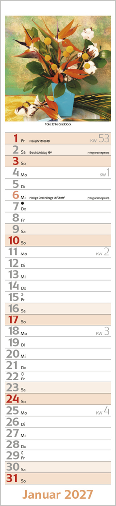 Weitere Ansicht: Flowers Langplaner 2027