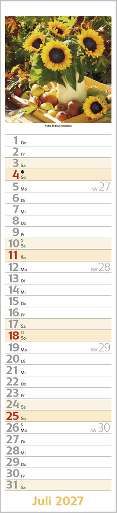 Weitere Ansicht: Flowers Langplaner 2027