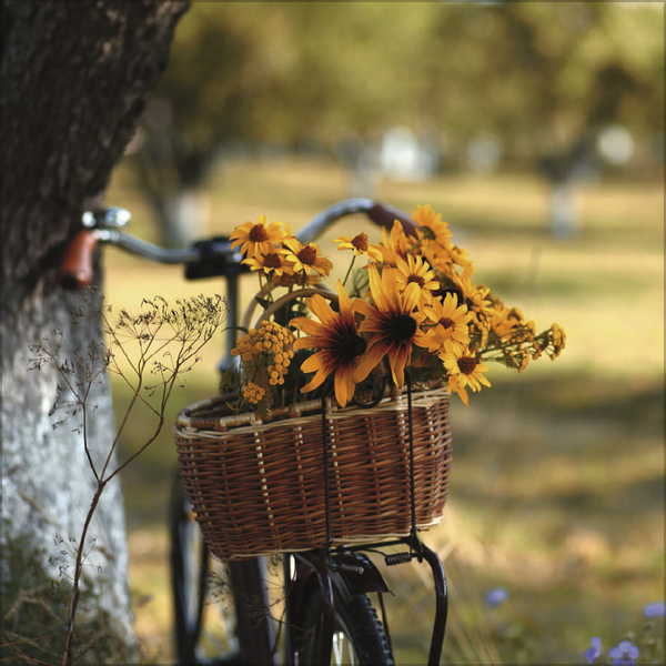 Weitere Ansicht: Bike Love 2027