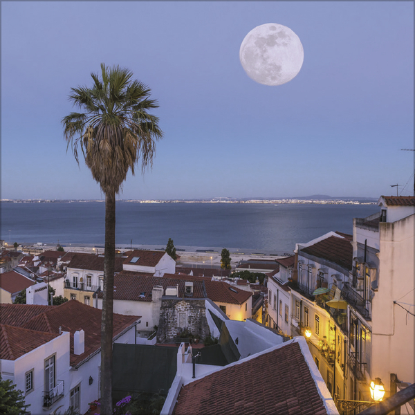 Weitere Ansicht: Der große Mondplaner 2027