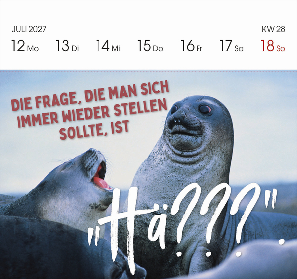 Weitere Ansicht: Lieber verrückt das Leben genießen 2027