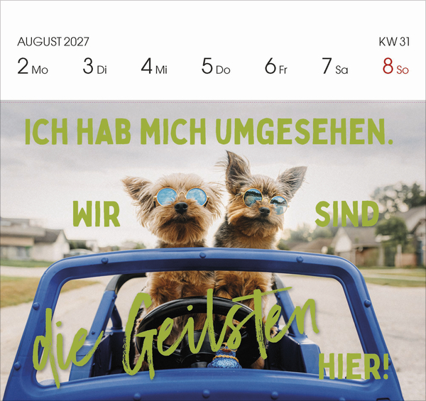 Weitere Ansicht: Lieber verrückt das Leben genießen 2027