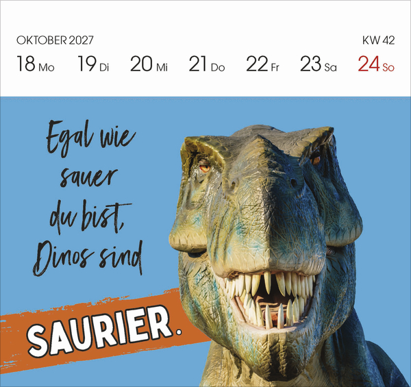 Weitere Ansicht: Lieber verrückt das Leben genießen 2027